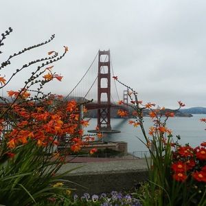 Meet your Posher, Lynn